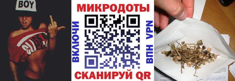 ссылка на мегу tor  Змеиногорск  Галлюциногенные грибы Magic Shrooms 